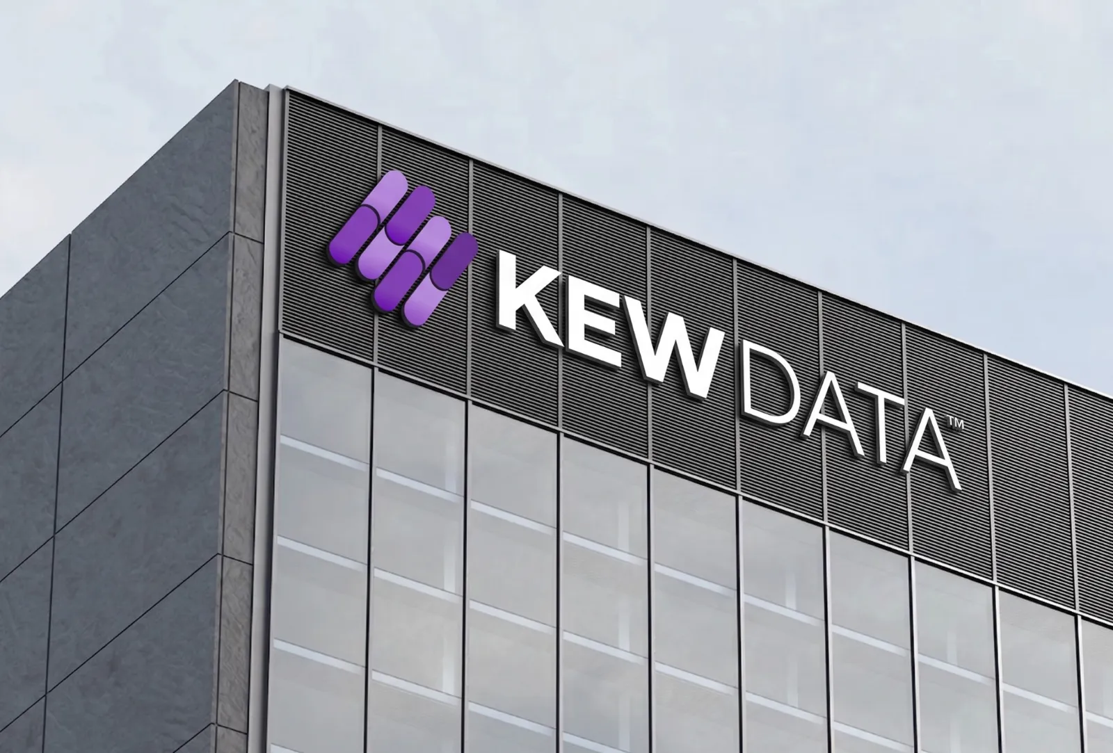 Kew Data brand identity mockup